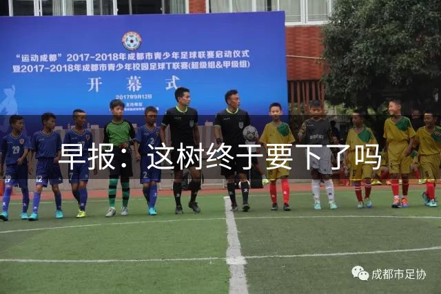 早报：这树终于要下了吗
